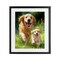 Stupell Industries Father & Son Labrador Framed Print Under Glass, design by Momart